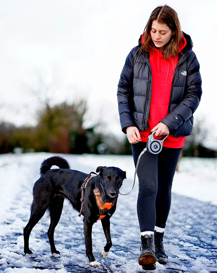 vrouw met zwarte hond wandelen in de sneeuw en ijs